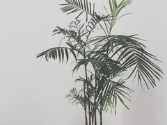 -浆木咖啡馆(湘子庙街店)