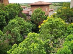 -上海崇明金茂凯悦酒店