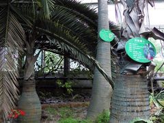 景点-祥源·阜阳生态乐园