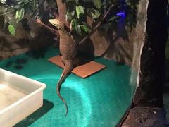 -石家庄市动物园