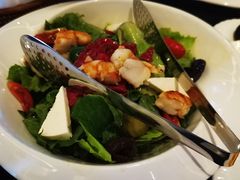-Efes Turkish & Mediterranean Cuisine 艾菲斯餐厅(陆家嘴店)