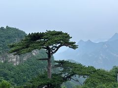 -圣莲山风景区