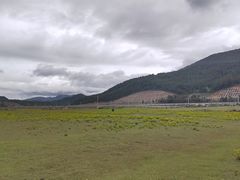-玉湖村