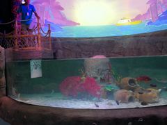 -沈阳海洋探索中心