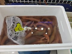 -昌顺园·养马岛渔家海鲜餐厅·老鲁菜(龙湖店)