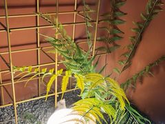 -茗知道茶馆(世博源店)