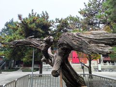 -大钟寺古钟博物馆