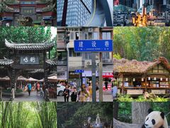 -海合安成都极地海洋公园