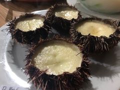 海胆蒸蛋-海盗餐厅