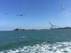 -海驴岛(荣成市)