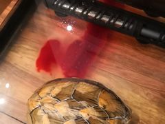 -雨林宠物医院 非犬猫异宠专科