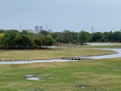 -北京麋鹿生态实验中心