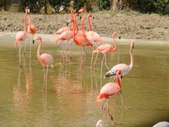 -杭州野生动物世界