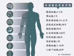-鹤祥宫·影院足道·SPA连锁(苹果园店)