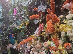-正佳雨林生态植物园