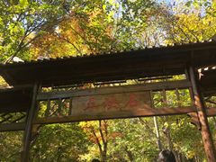 -三块石国家森林公园
