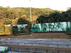 -深圳野生动物园