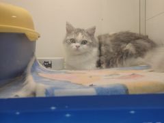 -1013 PET SHOP 宠物商店(近铁城市广场店)