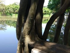 -小洲村
