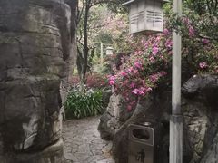 -老幺泉水鸡