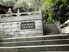 -十八棵（老龙井）御茶园(老龙井店)