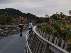 -福道