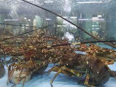 -渔人湾码头海鲜市场负二楼