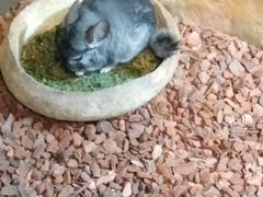 -昆明大悦城未来动物城(螺蛳湾中心店)