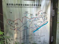 -铁山坪森林公园