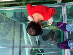 -陶祖圣境风景区