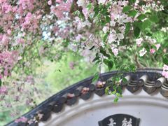 -深圳国际园林花卉博览园