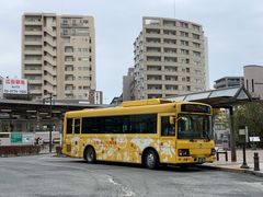 -三鹰之森吉卜力美术馆