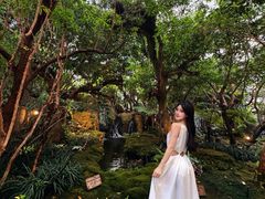 -Chom Cafe and Restaurant