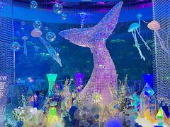 -海合安青岛极地海洋公园