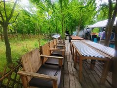 -动邦皮划艇·桨板·独木舟·团建户外运动俱乐部