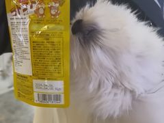 -美联众合动物医院·24h转诊中心