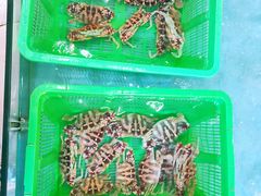 -隆都四季香饭店(碧海路店)