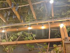 -砂唐居(总店)