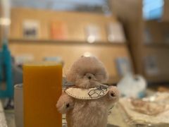 -T館·花园艺术餐厅