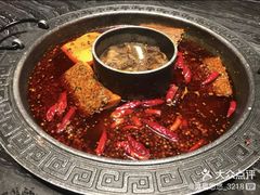-杨肥肠小火锅(跃进路店)