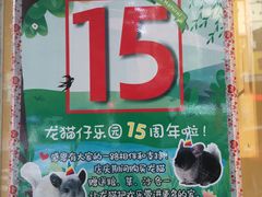 -龙猫仔乐园(惠福东路店)