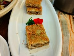 -椿记烧鹅(叠彩店)