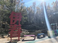 -汤旺河林海奇石景区