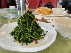 清香枸杞苗-国强手抓(北京西路店)