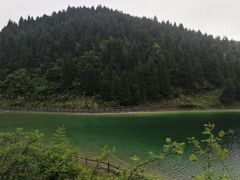 -武陵山森林公园