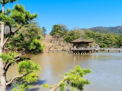 -奈良公园