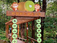 -大岭沟猕猴桃谷风景区