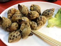 花螺-梅鑫海产店