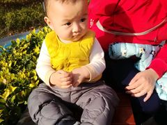 -大宁国际幼儿园(永和东路)