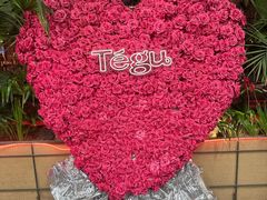 -Tegu泰古莲·泰国餐厅(红山6979店)
